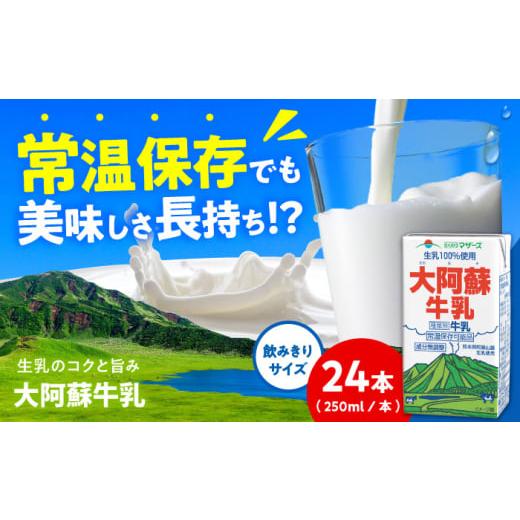 ふるさと納税 飲料類 牛乳 熊本県 合志市 大阿蘇牛乳 ロングライフ 250ml 24本(12本入り×2ケース) 6L 合同会社 福福堂 成分無調整牛乳 ミルク カルシウム …