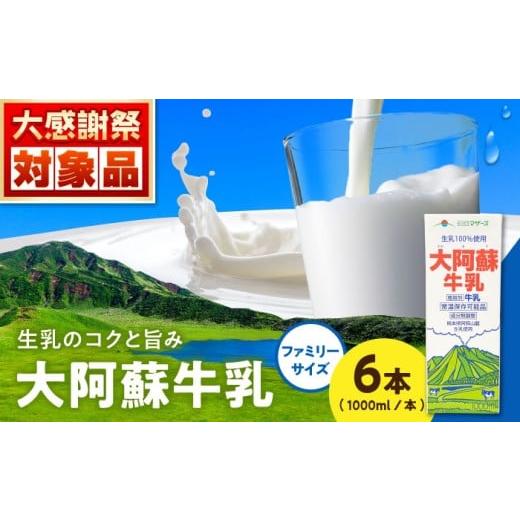 ふるさと納税 飲料類 牛乳 熊本県 合志市 大阿蘇牛乳 ロングライフ 1000ml(6本入り) 6L 牛乳 生乳 成分無調整牛乳 ミルク カルシウム 牛乳 常温保存 長期保…