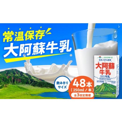 ふるさと納税 飲料類 牛乳 熊本県 合志市 全3回定期便 大阿蘇牛乳 ロングライフ 250ml 48本(12本入り×4ケース) 定期便 牛乳 牛乳定期便 牛乳 定期便 熊本…