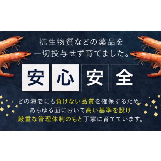 ふるさと納税 エビ 滋賀県 長浜市 近江海老 SSサイズ 1kg 滋賀県