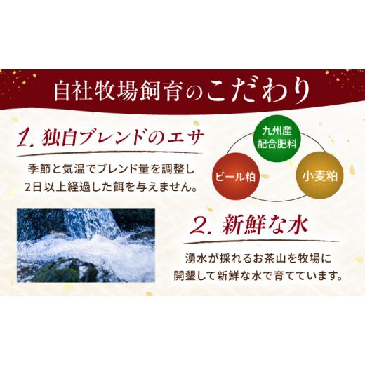 ふるさと納税 馬肉 熊本県 合志市  全12回定期便 『純国産』熊本の味 赤身 馬刺し スライス セット 約350g ／ 熊本 馬刺し ばさし バサシ 馬肉 赤身 国産 ヘル…の画像