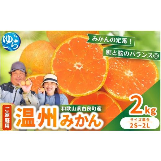 ふるさと納税 果物類 みかん 和歌山県 由良町 家庭用 温州みかん 2kg / 農家直送 くだもの 果実 柑橘 果物 フルーツ 国産 和歌山県 由良町 ご家庭用 人気 お…