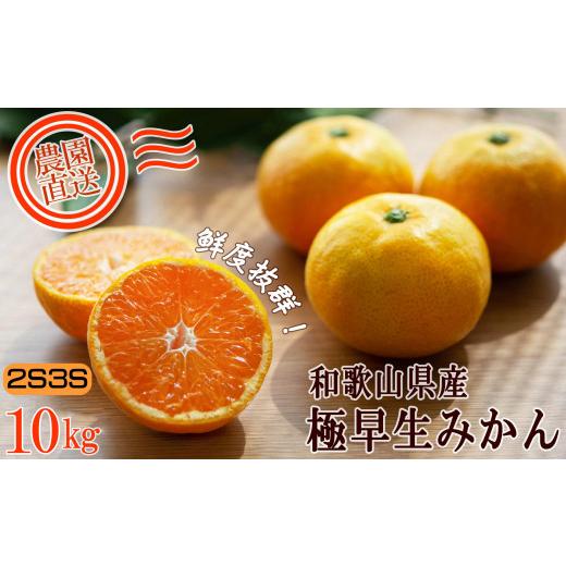 ふるさと納税 果物類 みかん 和歌山県 海南市 極早生みかん みかん 10kg 家庭用 2S・3S混合 和歌山県海南市産 産地直送