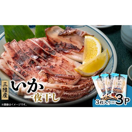 ふるさと納税 いか 岩手県 宮古市 いか一夜干し3枚入×3p 1610235