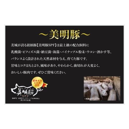 ふるさと納税 豚 しゃぶしゃぶ 茨城県 水戸市  3ヶ月定期便 美明豚 しゃぶしゃぶ用300g（ロース150g・ばら150g） 氷結 豚 ブランド名豚 茨城県 水戸市 食べ…