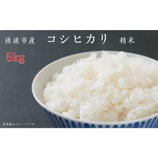 ふるさと納税 米 コシヒカリ 千葉県 匝瑳市 匝瑳市産 コシヒカリ 精米 5kg / 米 こめ コメ お米 おこめ コシヒカリ こしひかり 令和7年 白米 精米 ごはん …