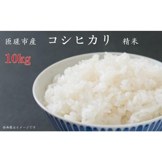 ふるさと納税 米 コシヒカリ 千葉県 匝瑳市 匝瑳市産 コシヒカリ 精米 10kg / 米 こめ コメ お米 おこめ コシヒカリ こしひかり 令和7年 白米 精米 ごはん…