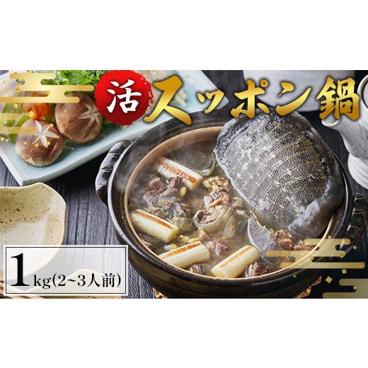 ふるさと納税 鍋セット 京都府 綾部市 4月お届け 綾部で育てた スッポン鍋 1kg(2〜3人前) 国産 活スッポン 健康 スッポン スッポン鍋 スッポン鍋セット す…