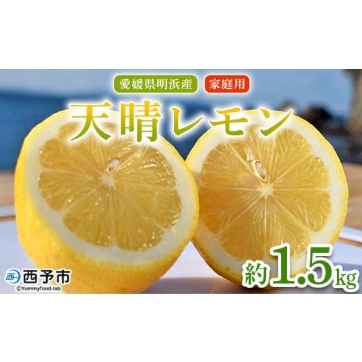ふるさと納税 みかん・柑橘類 レモン 愛媛県 西予市 天晴レモン ご家庭用 約1.5kg フルーツ 果物 くだもの レモン れもん 檸檬 柑橘 訳あり わけあり ワケア…