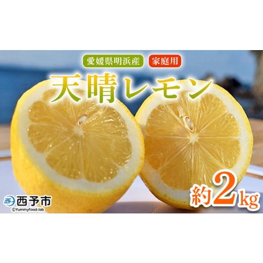 ふるさと納税 みかん・柑橘類 レモン 愛媛県 西予市 天晴レモン ご家庭用 約2kg フルーツ 果物 くだもの レモン れもん 檸檬 柑橘 訳あり わけあり ワケアリ …