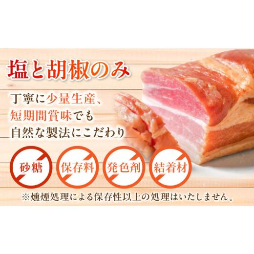ふるさと納税 ハム・ソーセージ・ハンバーグ 愛知県 瀬戸市 無添加燻製セットC 5種セット ／ ベーコン ソーセージ 手羽先 ササミ むね肉 ／ 瀬戸市 ／天佑 BBB…