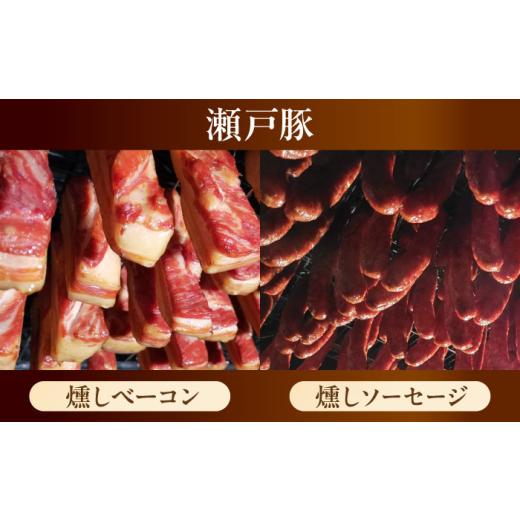 ふるさと納税 ハム・ソーセージ・ハンバーグ 愛知県 瀬戸市 無添加燻製セットC 5種セット ／ ベーコン ソーセージ 手羽先 ササミ むね肉 ／ 瀬戸市 ／天佑 BBB…