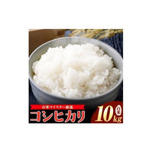 ふるさと納税 米 コシヒカリ 千葉県 東庄町 お米マイスター厳選 令和7年産 東庄町産 コシヒカリ 精米 10kg 有限会社山中米穀[60日以内に出荷予定(土日祝除く)…