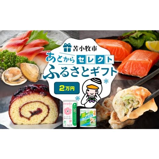 ふるさと納税 ポイント 北海道 苫小牧市 あとからセレクト ふるさとギフト 2万円　T000-000-03_1