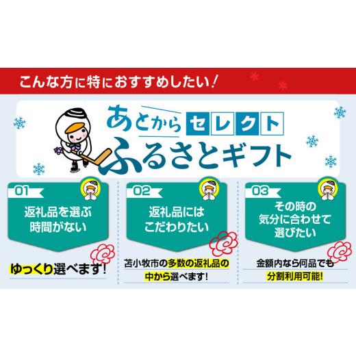 ふるさと納税 ポイント 北海道 苫小牧市 あとからセレクト ふるさとギフト 2万円　T000-000-03_4