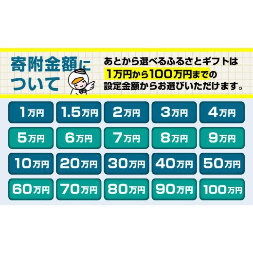 ふるさと納税 ポイント 北海道 苫小牧市 あとからセレクト ふるさとギフト 2万円　T000-000-03_5