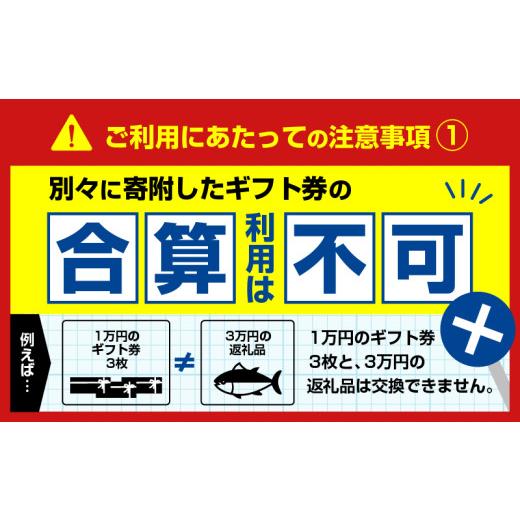 ふるさと納税 ポイント 北海道 苫小牧市 あとからセレクト ふるさとギフト 2万円　T000-000-03_6