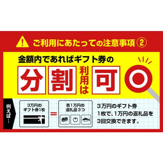 ふるさと納税 ポイント 北海道 苫小牧市 あとからセレクト ふるさとギフト 2万円　T000-000-03_7