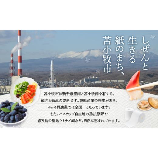 ふるさと納税 ポイント 北海道 苫小牧市 あとからセレクト ふるさとギフト 2万円　T000-000-03_9