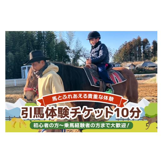 ふるさと納税 体験チケット 茨城県 小美玉市 ROCKY 引馬体験チケット 10分 体験 チケット 券 引馬 馬 うま ウマ 子供 大人 初心者 経験者 歓迎 92-A 引馬体験…