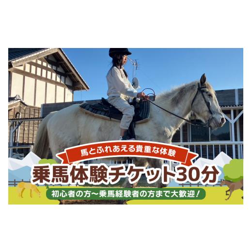 ふるさと納税 体験チケット 茨城県 小美玉市 ROCKY 乗馬体験チケット 30分 体験 チケット 券 乗馬 馬 うま ウマ 子供 大人 初心者 経験者 歓迎 92-B 乗馬体験…
