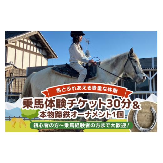 ふるさと納税 体験チケット 茨城県 小美玉市 ROCKY 乗馬体験チケット&本物蹄鉄オーナメント 体験 チケット 券 乗馬 本物 蹄鉄 オーナメント 馬 うま ウマ 蹄…