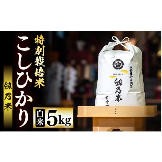 ふるさと納税 米 コシヒカリ 福井県 越前町 令和7年産 特別栽培米 こしひかり 5kg(精米)「劔乃米」 お米 福井県産 劔神社 御奉納米 コシヒカリ 数量限定 e3…