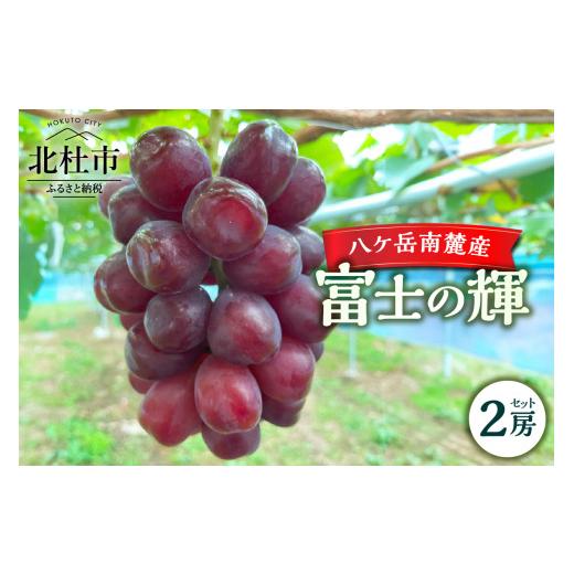 ふるさと納税 果物類 ぶどう 山梨県 北杜市 2026年先行予約 八ケ岳南麓産「富士の輝」 ブラック シャイン マスカット 期間限定 数量限定 富士の輝 新品種 ぶ…