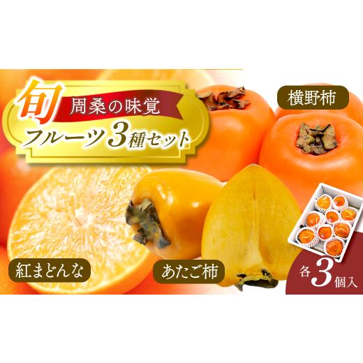 ふるさと納税 果物の詰合せ 愛媛県 西条市 人気の紅まどんなも届く 旬 フルーツ 3種セット 紅まどんな 愛宕柿 横野柿 「 愛媛県西条市 周桑の味覚 」 各3個入…