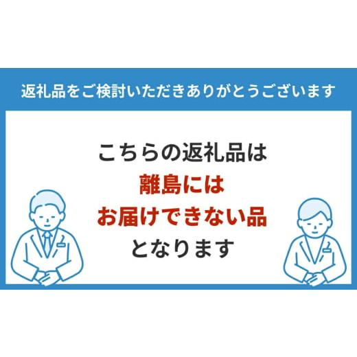 ふるさと納税 菓子 プリン 茨城県 常総市  2ヵ月定期便 おいしい低糖質プリンカスタード 1ケース（4P×6個）｜森永乳業 糖質制限 健康意識 減量中 ダイエット…の画像