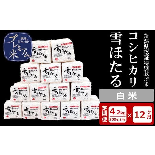 ふるさと納税 米 コシヒカリ 新潟県 柏崎市 12ヶ月定期便 甘味の強いプレミアム米 雪ほたる 新潟県認証特別栽培米 コシヒカリ 白米 真空パック 4.2kg(300g×…