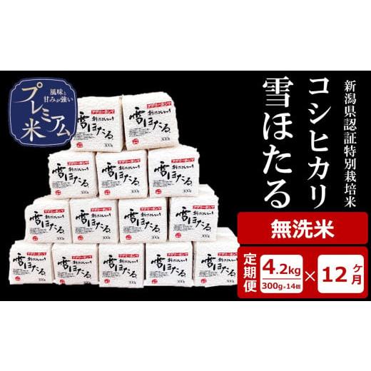 ふるさと納税 無洗米 新潟県 柏崎市 12ヶ月定期便 甘味の強いプレミアム米 雪ほたる 新潟県認証特別栽培米 コシヒカリ 無洗米 真空パック 4.2kg(300g×14個…