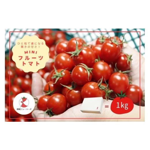 ふるさと納税 トマト 兵庫県 たつの市 H-232 フルーツトマト 発送時期:1月〜6月