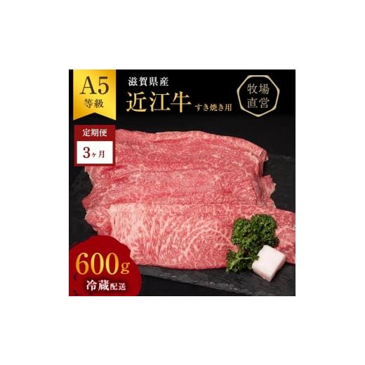 ふるさと納税 牛肉 セット 滋賀県 豊郷町 近江牛 西川畜産 3か月定期便 近江牛A5ランク雌牛 すき焼き用約600g