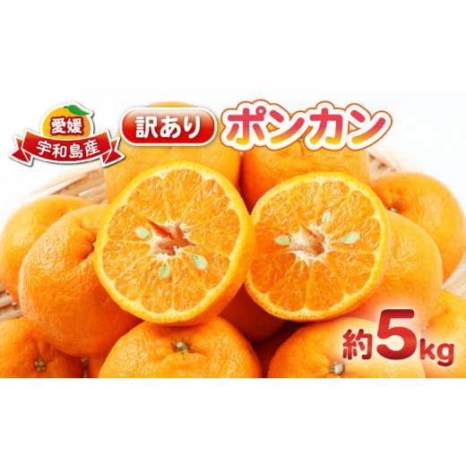 ふるさと納税 果物類 みかん 愛媛県 宇和島市 ポンカン 5kg 訳あり ぽんかん 杉本屋 訳あり品 先行予約 mikan みかん 訳アリ 訳有りジューシー デザート コク …