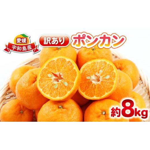 ふるさと納税 果物類 みかん 愛媛県 宇和島市 ポンカン 8kg 訳あり ぽんかん 杉本屋 訳あり品 mikan みかん デザート 甘い 果物 くだもの フルーツ 柑橘 みか…