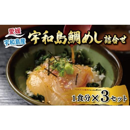 ふるさと納税 魚貝類 鯛 愛媛県 宇和島市 鯛めし 3食 セット 宇和島鯛めし 辻水産 家庭用 保冷バッグ 梱包 生鯛めし 真鯛 鯛 マダイ タイ tai 刺身 お刺身 刺…