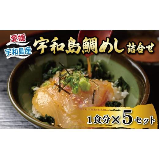 ふるさと納税 魚貝類 鯛 愛媛県 宇和島市 鯛めし 5食 セット 宇和島鯛めし 辻水産 家庭用 保冷バッグ 梱包 生鯛めし 真鯛 鯛 マダイ タイ tai 刺身 お刺身 刺…