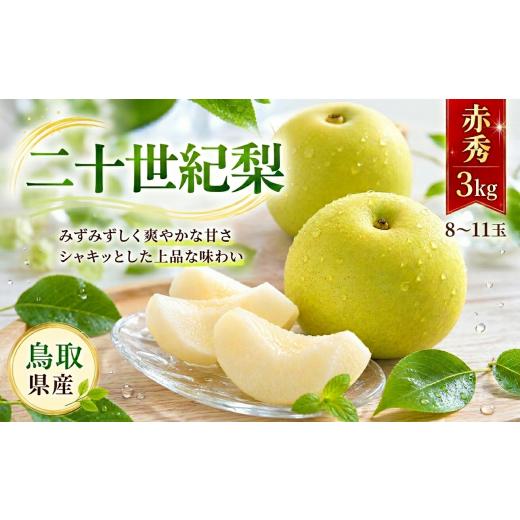 ふるさと納税 梨 鳥取県 八頭町 二十世紀梨(赤秀) 3kg