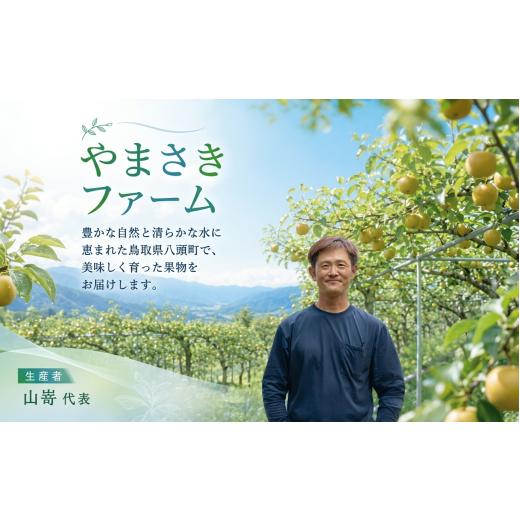 ふるさと納税 梨 鳥取県 八頭町 二十世紀梨(赤秀) 3kg_3