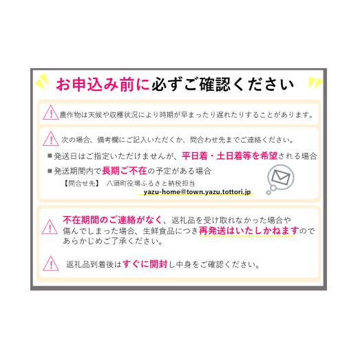 ふるさと納税 梨 鳥取県 八頭町 二十世紀梨(赤秀) 3kg_4