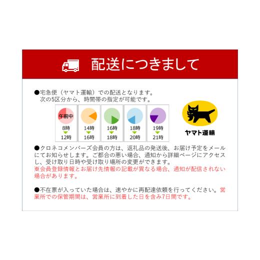 ふるさと納税 梨 鳥取県 八頭町 二十世紀梨(赤秀) 3kg_5