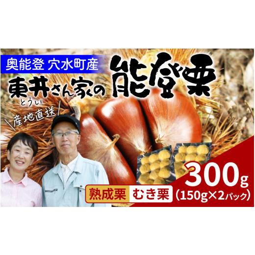 ふるさと納税 果物類 栗 石川県 穴水町 先行予約 東井栗園の熟成能登栗(むき栗) 150g × 2パック 計300g 〜能登の大地で育った能登栗〜 2026年10月下旬以降…