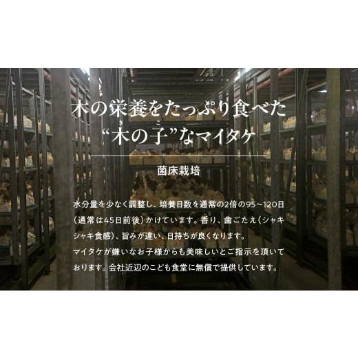 ふるさと納税 野菜類 きのこ 群馬県 前橋市 6ヶ月定期便 まいたけ 長五郎まいたけ かぶ 500g×2個 6回分｜舞茸 まいたけ レシピ付き ジューシー ステーキ 天…