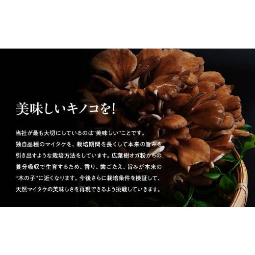 ふるさと納税 野菜類 きのこ 群馬県 前橋市 6ヶ月定期便 まいたけ 長五郎まいたけ かぶ 500g×2個 6回分｜舞茸 まいたけ レシピ付き ジューシー ステーキ 天…