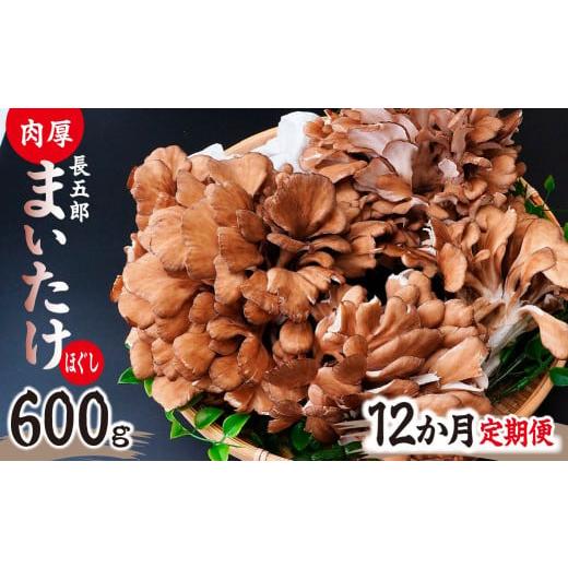 ふるさと納税 野菜類 きのこ 群馬県 前橋市 12ヶ月定期便 まいたけ 長五郎まいたけ ほぐし 300g×2個 まいたけ｜舞茸 まいたけ レシピ付き ジューシー ステー…