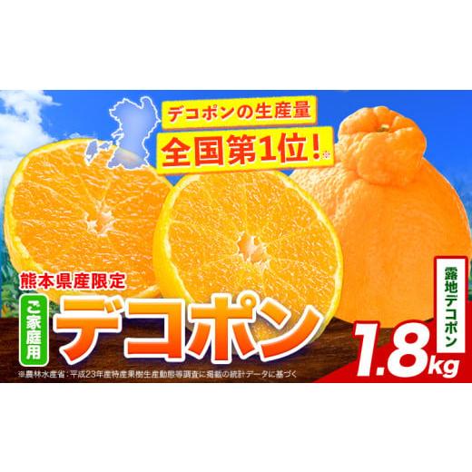 ふるさと納税 みかん・柑橘類 デコポン 熊本県 津奈木町 加温デコポン 約1.8kg(3-5玉前後) [12月上旬〜12月下旬頃出荷予定(土日祝除く)] 柑橘 不知火 デコポ…