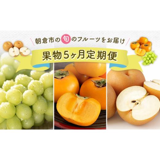 ふるさと納税 ぶどう マスカット 福岡県 朝倉市 定期便 5ヶ月 果物 先行予約 シャインマスカット 梨 柿 果物 配送不可：離島_1