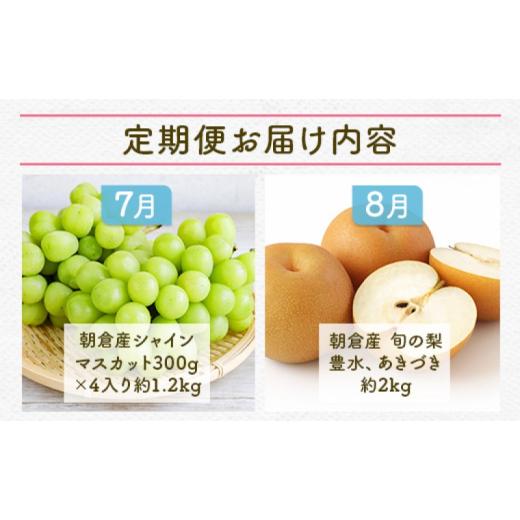 ふるさと納税 ぶどう マスカット 福岡県 朝倉市 定期便 5ヶ月 果物 先行予約 シャインマスカット 梨 柿 果物 配送不可：離島_3