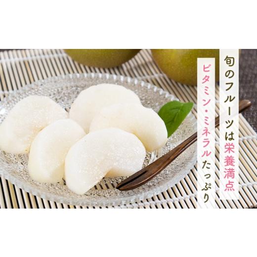 ふるさと納税 ぶどう マスカット 福岡県 朝倉市 定期便 5ヶ月 果物 先行予約 シャインマスカット 梨 柿 果物 配送不可：離島_5
